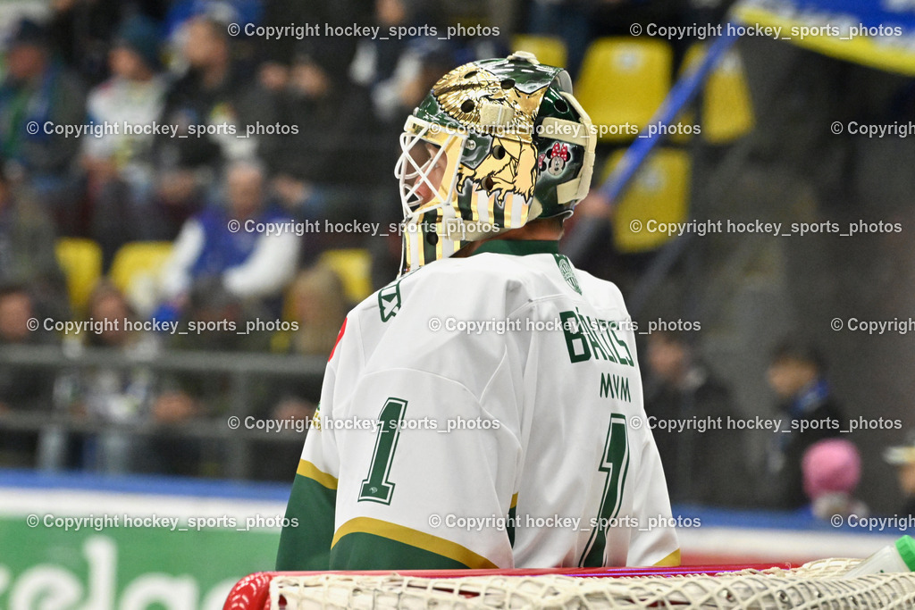 EC IDM WÄRMEPUMPEN VSV vs. FTC-TELEKOM JÉGKORONG | #1 Bence Balizs FTC-Telekom, EC IDM WÄRMEPUMPEN VSV vs. FTC-TELEKOM JÉGKORONG, EC IDM WÄRMEPUMPEN VSV vs. FTC-TELEKOM JÉGKORONG am 19.10.2025 in Villach (Stadthalle Villach), Austria, (Photo by Bernd Stefan)