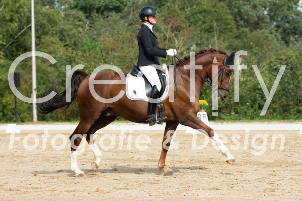 IMG_3468 | Creatify Fotografie