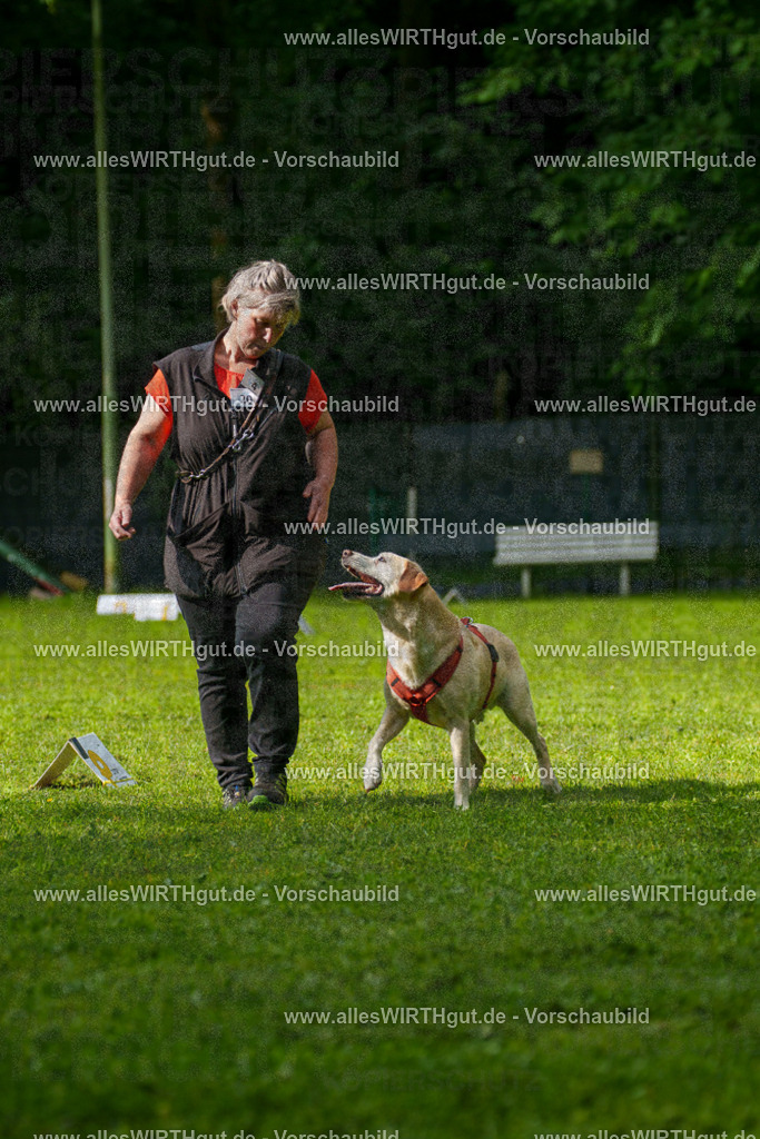 @allesWIRTHgut_Tierfotografie - www.allesWIRTHgut.de - 7R502221 | Professionelle Tierfotografie in Mönchengladbach von Daniel Wirth (allesWIRTHgut). Liebevolle & natürliche Bilder von Hunden & Katzen für unvergessliche Erinnerungen.