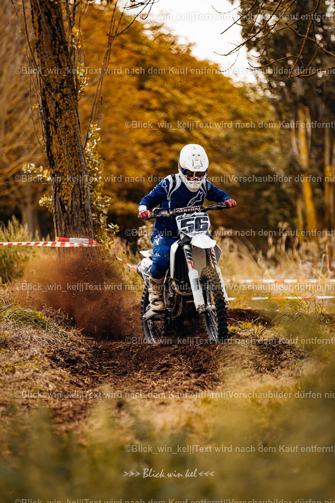 E68A1181 | blick_win_kel