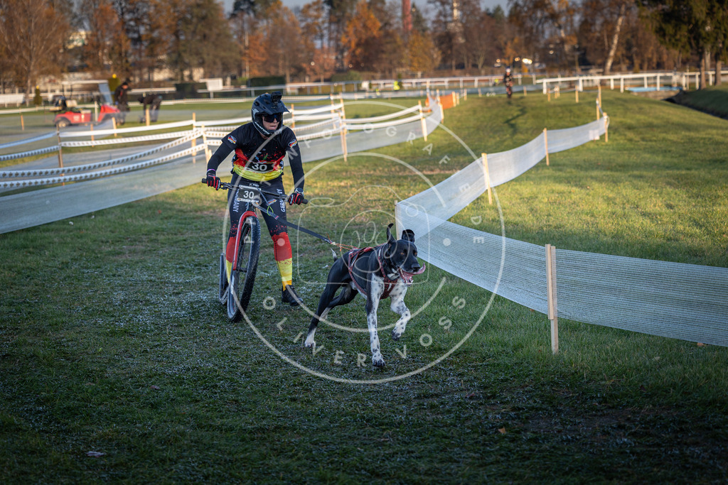 CaniXpix_0L8A2130 | Hundefotografie, Tierfotograf, Pfotenfotografie, Fotoshooting Hund, Hunde Portrait, Hundesport, Hundeportraits, Heideshooting, Hunde, Sportfotograf, Hundefotograf, Turnierhundsport, THS,  - Realisiert mit Pictrs.com