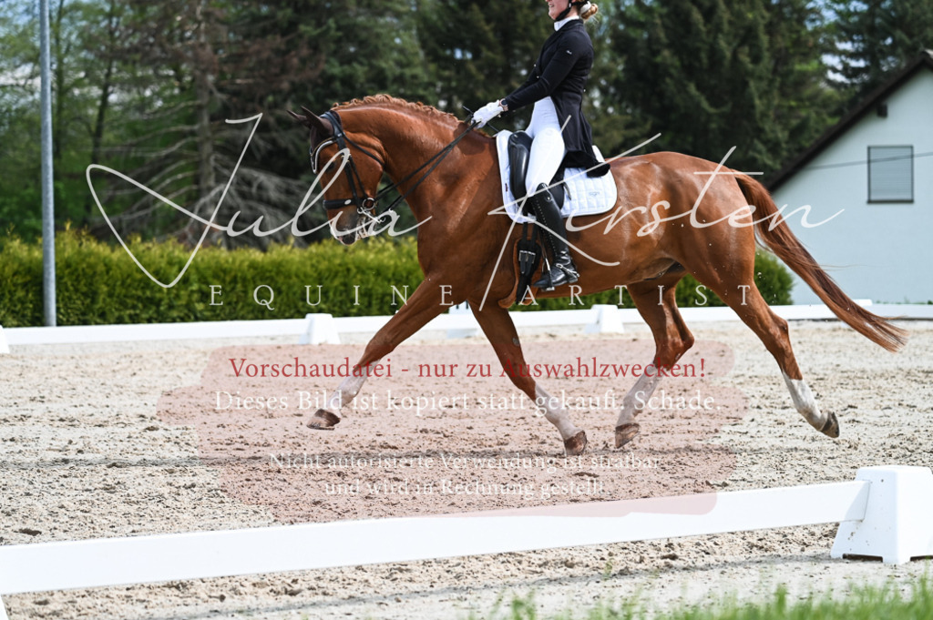 20230513_JK-Röhrsdorf-12-360-2 | Pferde- und Turnierfotografie in Westsachsen. Pferdeportraits, Auftragszeichnungen und intuitive Kunst.