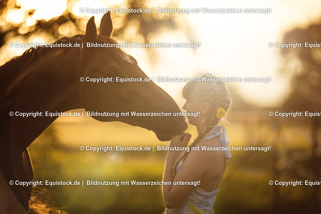 20150628_TOMsPiC_0192 | equistock