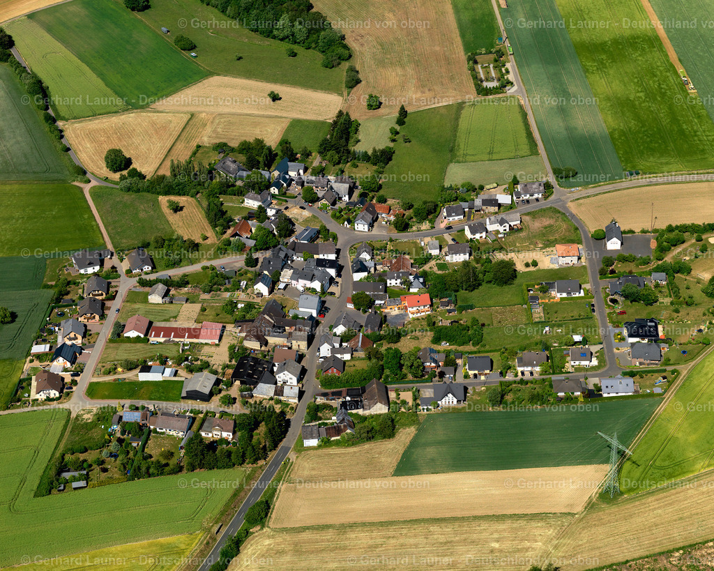 Eulgem-3114210 | Eulgem
