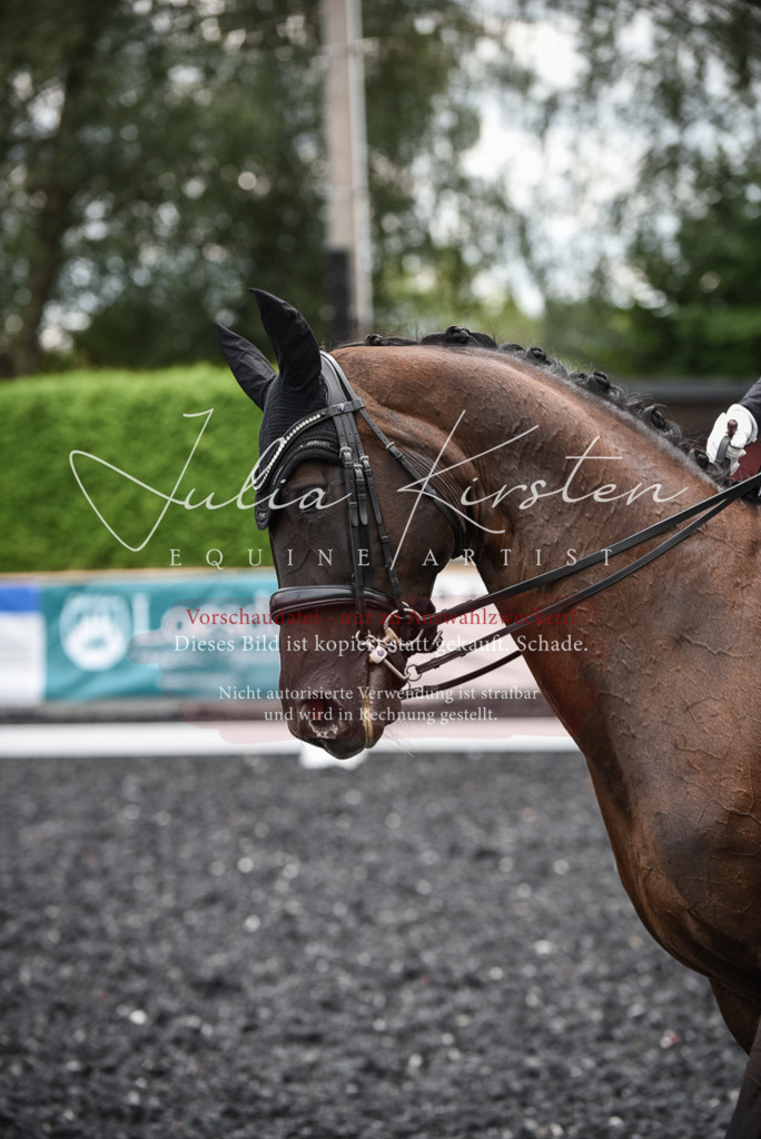 DSC_4858 | Pferde- und Turnierfotografie in Westsachsen. Pferdeportraits, Auftragszeichnungen und intuitive Kunst.