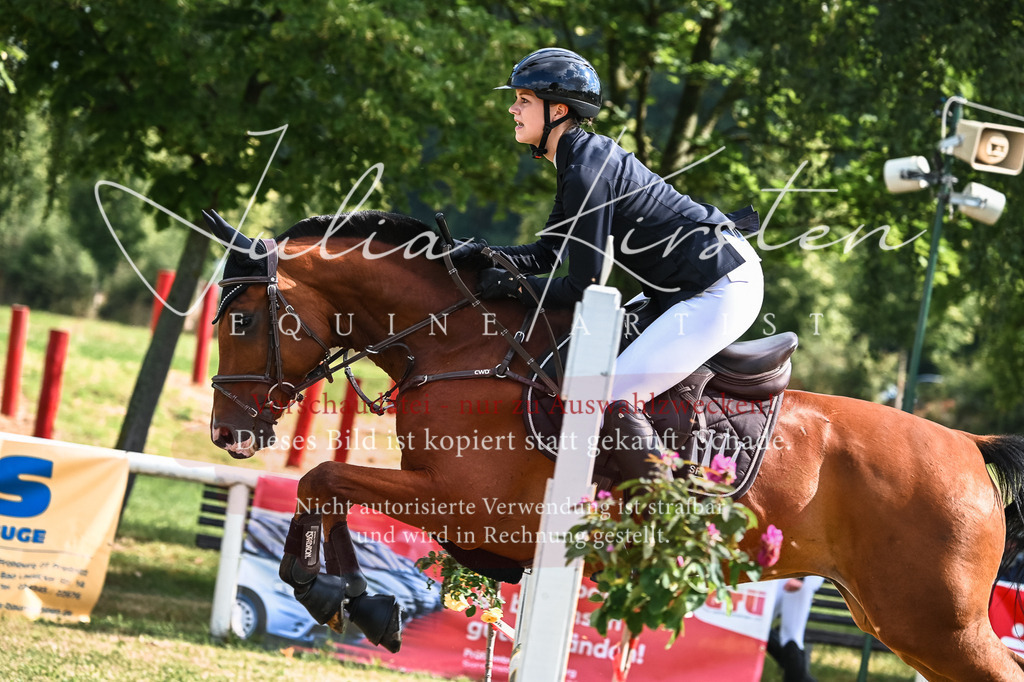 DSC_7910 | Pferde- und Turnierfotografie in Westsachsen. Pferdeportraits, Auftragszeichnungen und intuitive Kunst.