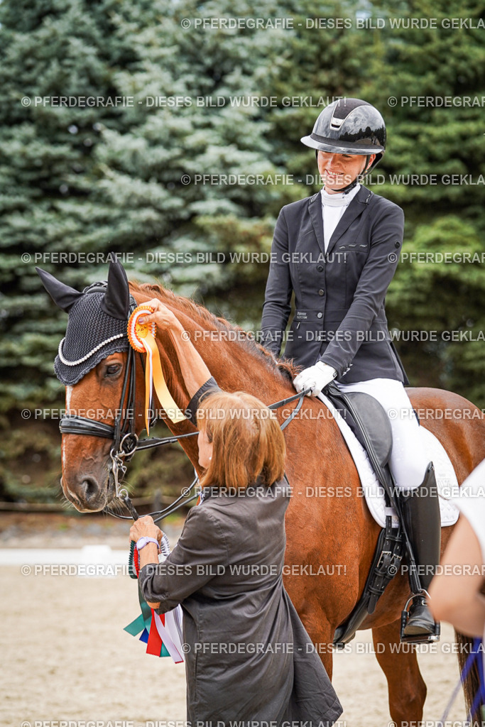 DSC04734 | Pferdegrafie