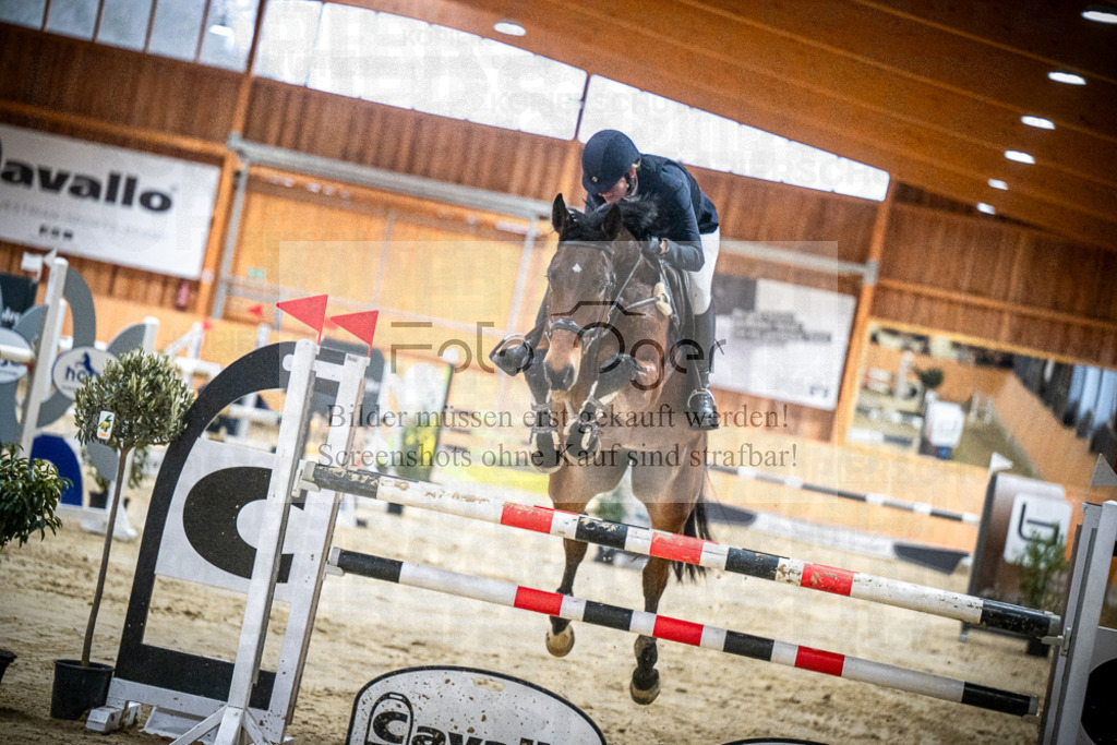 DOS_1765 | Entdecke hochwertige Reitturnierfotos von Foto Oger. Professionell, emotional und authentisch – jetzt Lieblingsmomente im Shop bestellen.Deutschlandweite Turnierfotografie. - Realisiert mit Pictrs.com