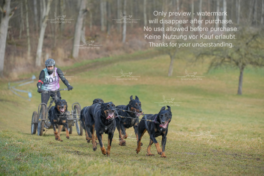 Sa_Gespanne-9 | stephaniefillaphotographie - Realisiert mit Pictrs.com