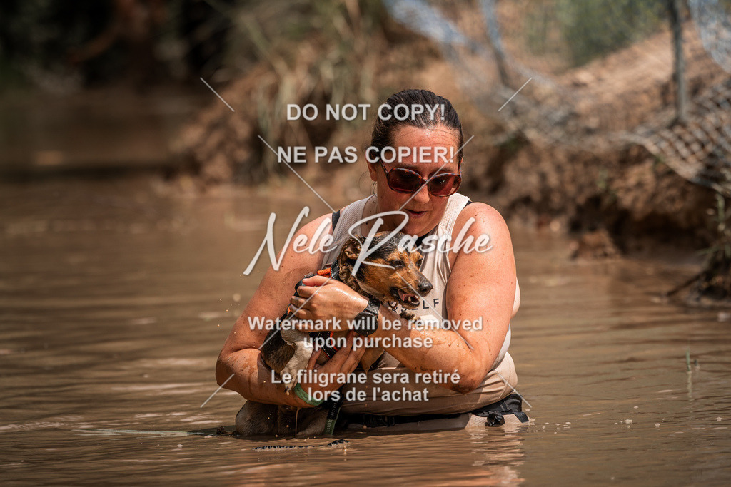 nelerasche_Hoope2026_So1400-1430_246 | nelerasche