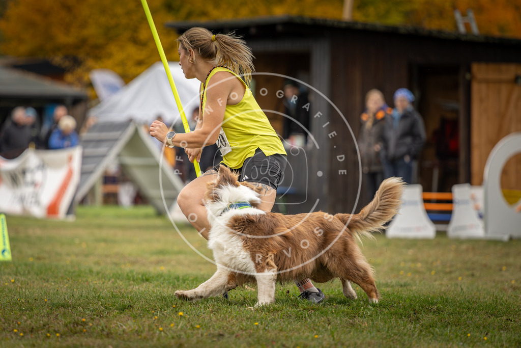 Pfotenfotografie_DV3A3054 | Hundefotografie, Tierfotograf, Pfotenfotografie, Fotoshooting Hund, Hunde Portrait, Hundesport, Hundeportraits, Heideshooting, Hunde, Sportfotograf, Hundefotograf, Turnierhundsport, THS,  - Realisiert mit Pictrs.com