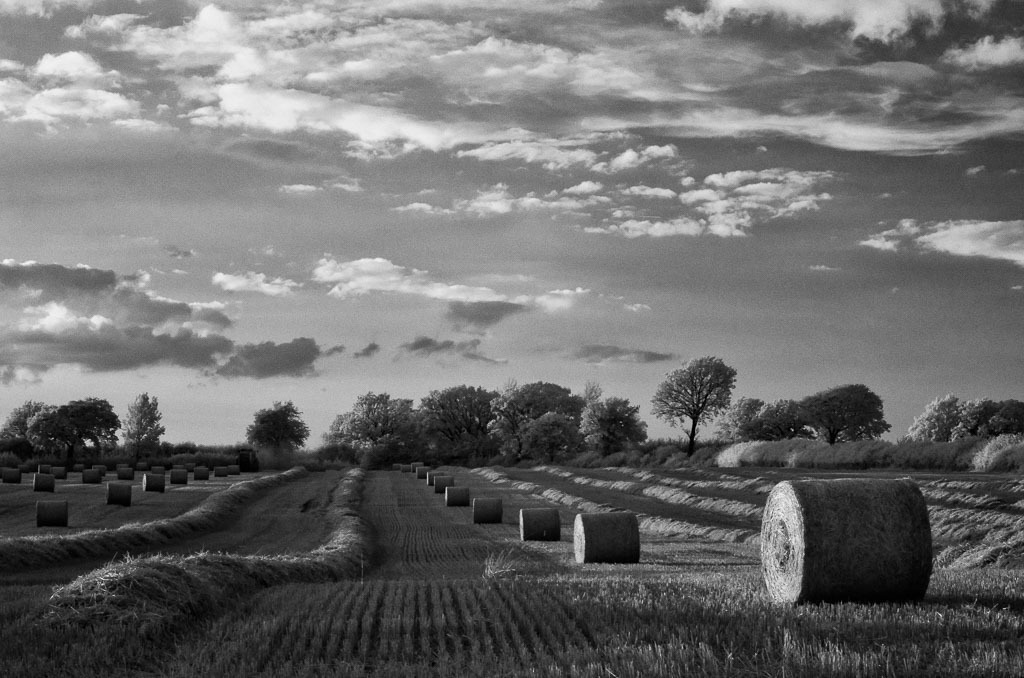deutschland-2014-114 | Strohballen auf einem abgemähten Feld bei Geltorf südlich von Schleswig im Kreis Schleswig-Flensburg - Realisiert mit Pictrs.com