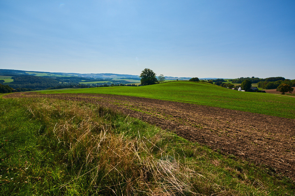 Im LSG _Wildenfelser Zwischengebirge_ 04 | Bedeutsame Landschaften Deutschlands - Realisiert mit Pictrs.com