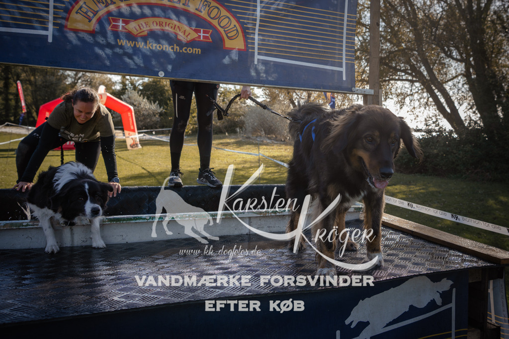 1216_ZZ95266 | kk-dogfotos