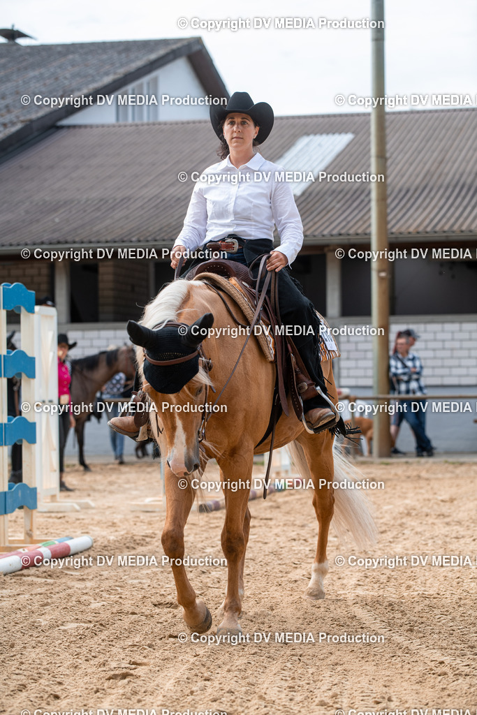 EWP_5647 | dv-media-shop - Realisiert mit Pictrs.com