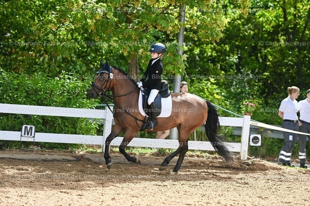 20230716_10-3_Reiter-WB Schritt - Trab - Galopp_0050 | equistock
