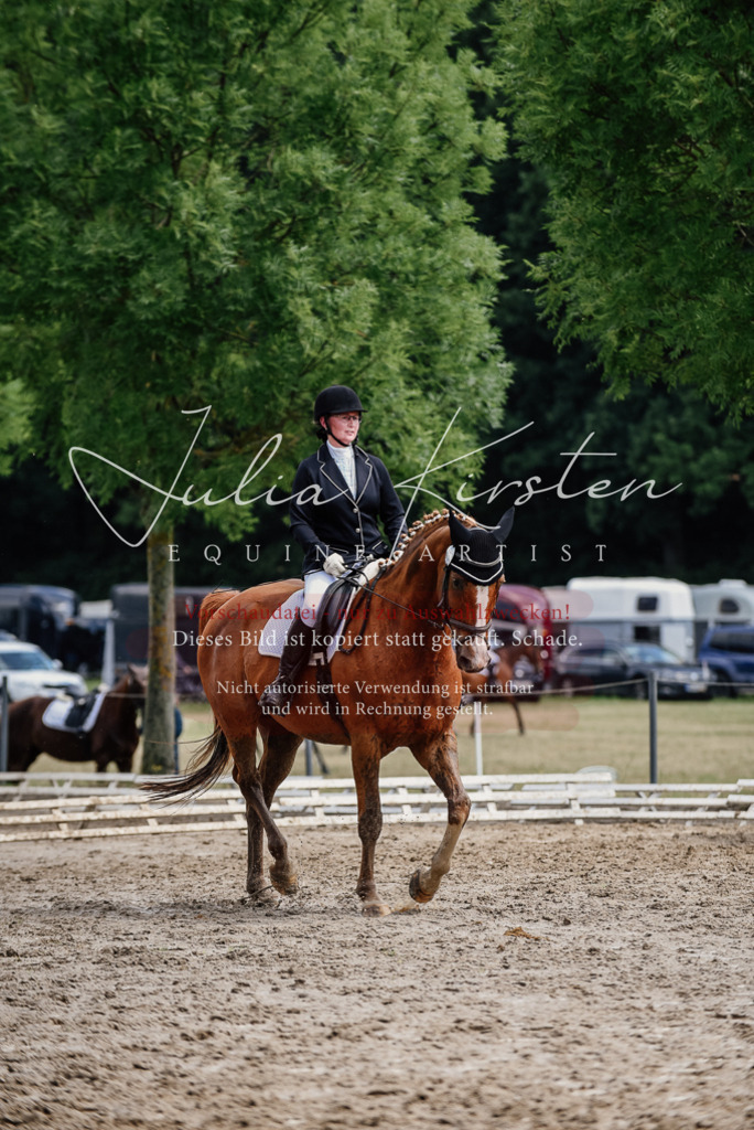 DSC_0721 | Pferde- und Turnierfotografie in Westsachsen. Pferdeportraits, Auftragszeichnungen und intuitive Kunst.