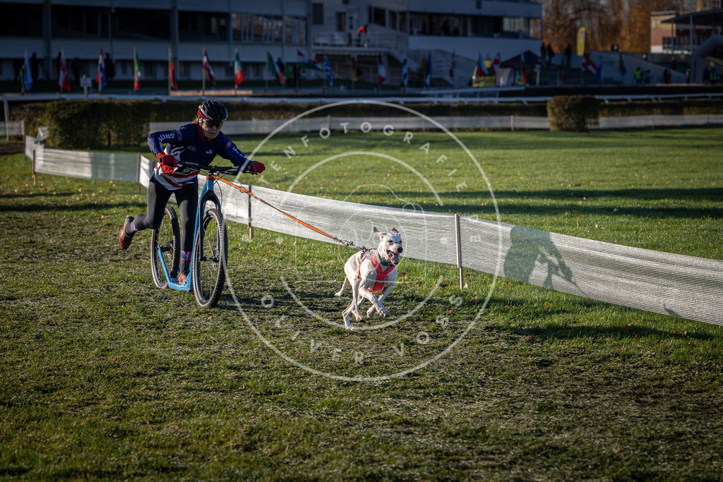 CaniXpix_0L8A3993 | Hundefotografie, Tierfotograf, Pfotenfotografie, Fotoshooting Hund, Hunde Portrait, Hundesport, Hundeportraits, Heideshooting, Hunde, Sportfotograf, Hundefotograf, Turnierhundsport, THS,  - Realisiert mit Pictrs.com