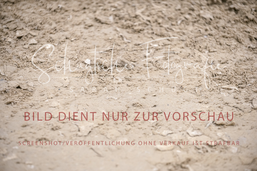 Schugtsche-Aluta25-57.Dressurprf.M1Kand-213 | Schugtsche Fotografie - Realisiert mit Pictrs.com