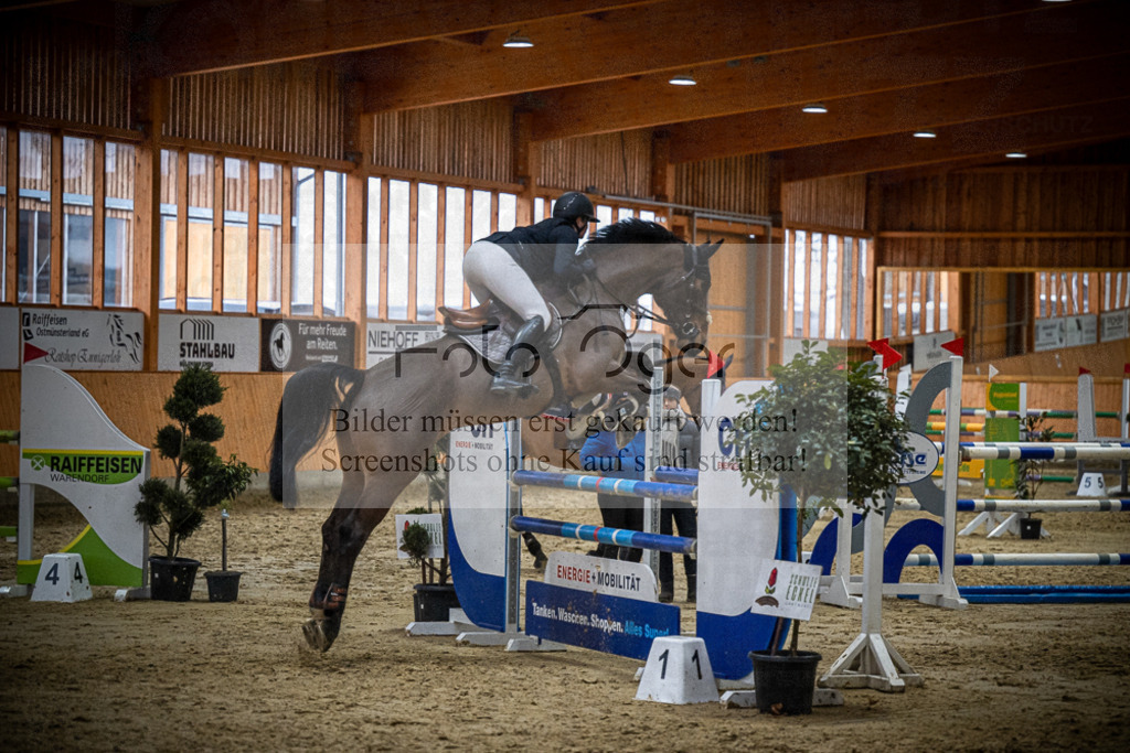 DOS_1432 | Entdecke hochwertige Reitturnierfotos von Foto Oger. Professionell, emotional und authentisch – jetzt Lieblingsmomente im Shop bestellen.Deutschlandweite Turnierfotografie. - Realisiert mit Pictrs.com