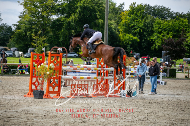 IMG_5842 | Turniersportfotografie; Pferdefotografie; Dressurfotografie