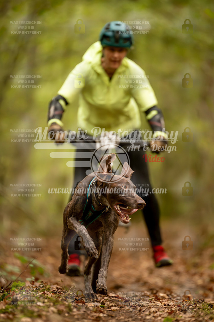 TSB_2023_E1_Bike-88 | PayLife