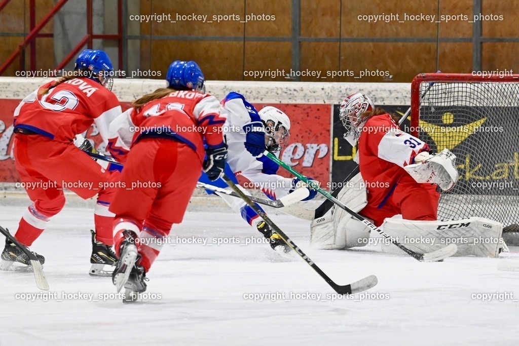BST_5621 | hockey sports photos, Pressefotos, Sportfotos, hockey247, win 2day icehockeyleague, Handball Austria, Floorball Austria, ÖVV, Kärntner Eishockeyverband, KEHV, KFV, Kärntner Fussballverband, Österreichischer Volleyballverband, Alps Hockey League, ÖFB, 