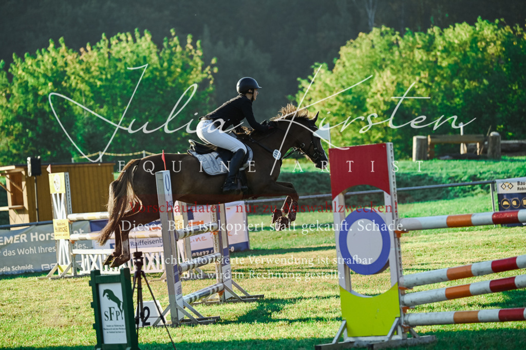 DSC_4004 | Pferde- und Turnierfotografie in Westsachsen. Pferdeportraits, Auftragszeichnungen und intuitive Kunst.