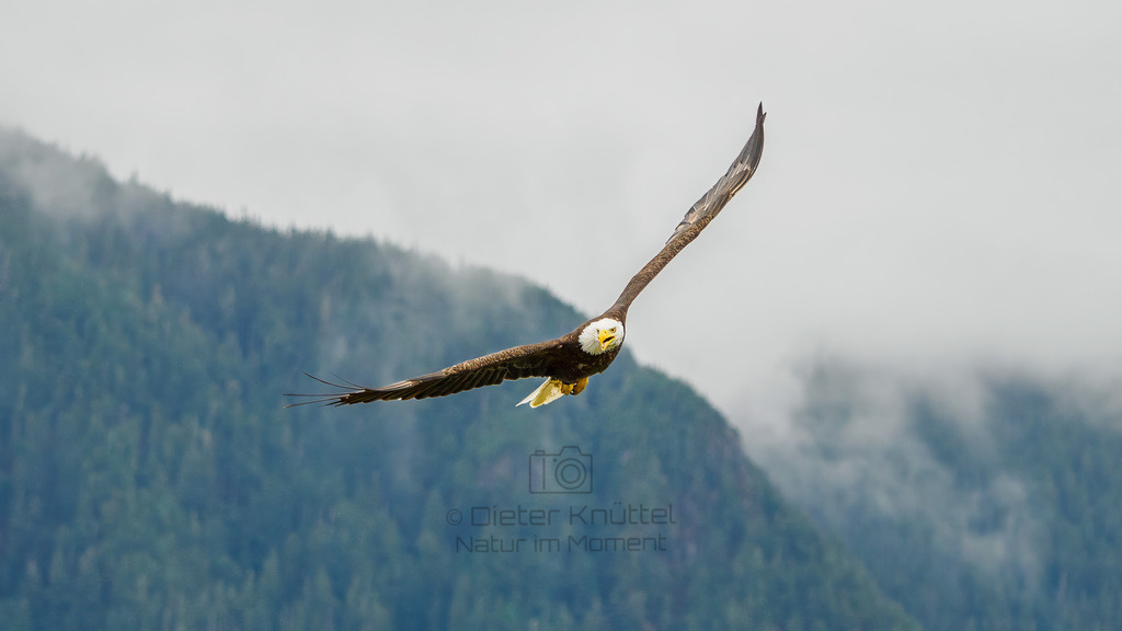 P1628565-Bearbeitet-2023-LR | Natur im Moment - Realisiert mit Pictrs.com