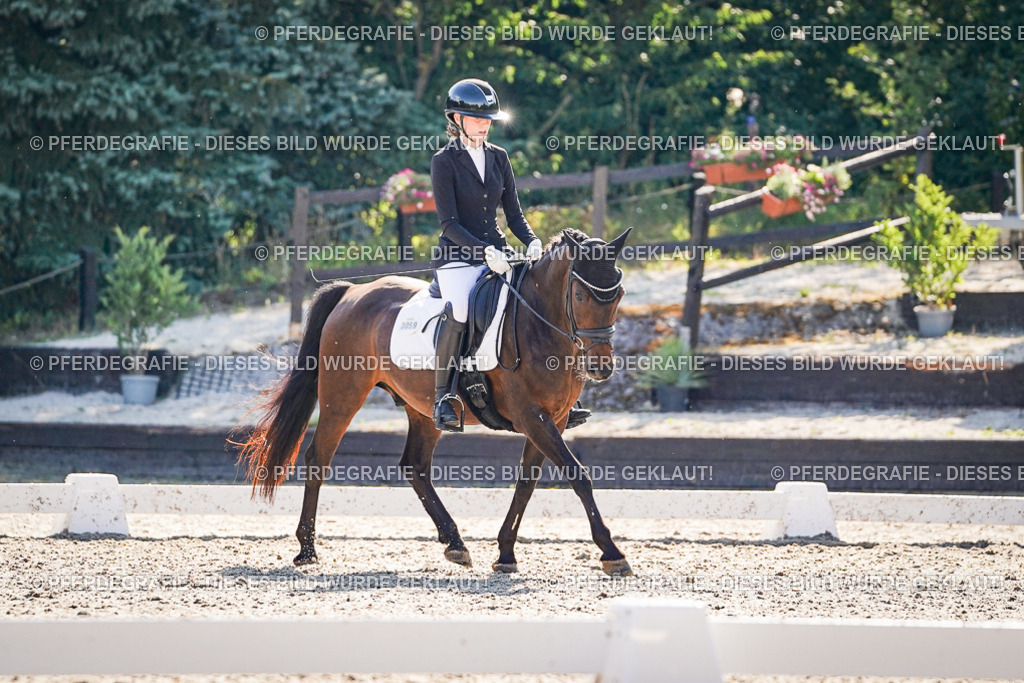 DSC00036 | Pferdegrafie