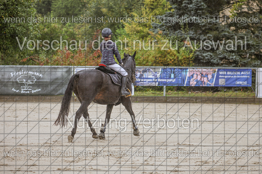 2025-09-22_10-15-10_MG_6350 | TE-Fotos