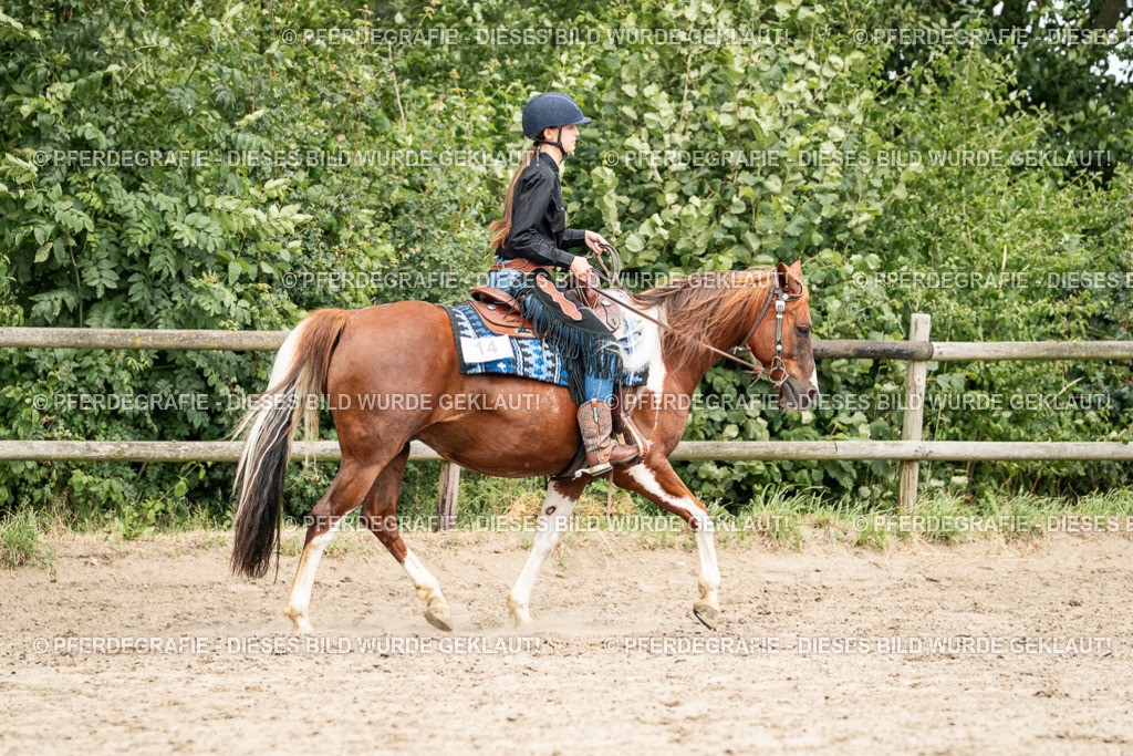 DSC01284 | Pferdegrafie