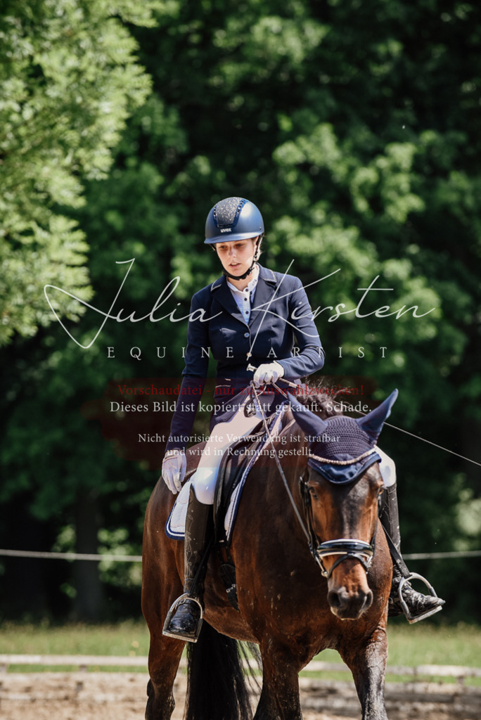DSC_1524 | Pferde- und Turnierfotografie in Westsachsen. Pferdeportraits, Auftragszeichnungen und intuitive Kunst.