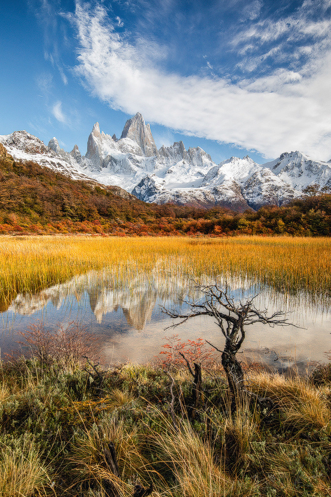 MFC_4995-Verbessert-Bearbeitet | Marcus Frank - Realisiert mit Pictrs.com