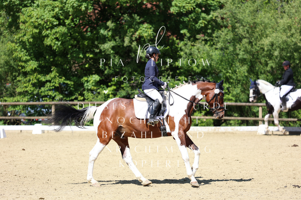 IMGS3859 | pl-fotografie