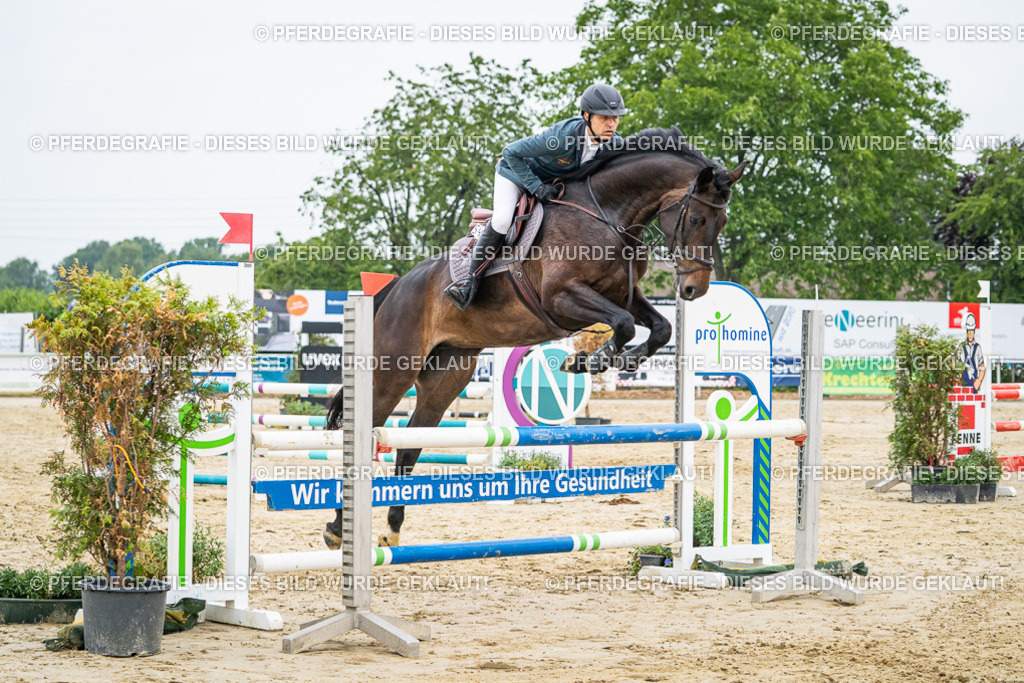 DSC00288 | Pferdegrafie