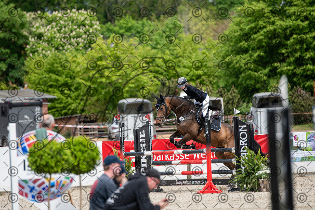 KPT_5510 | andre_photographic