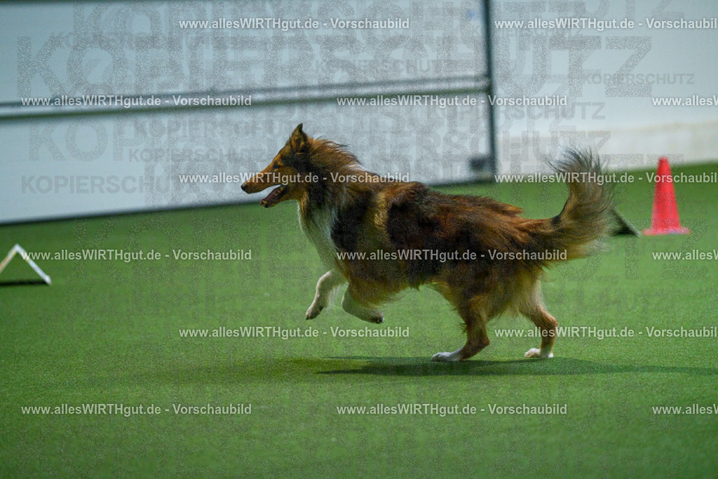 7R502134 | Professionelle Tierfotografie in Mönchengladbach von Daniel Wirth (allesWIRTHgut). Liebevolle & natürliche Bilder von Hunden & Katzen für unvergessliche Erinnerungen.