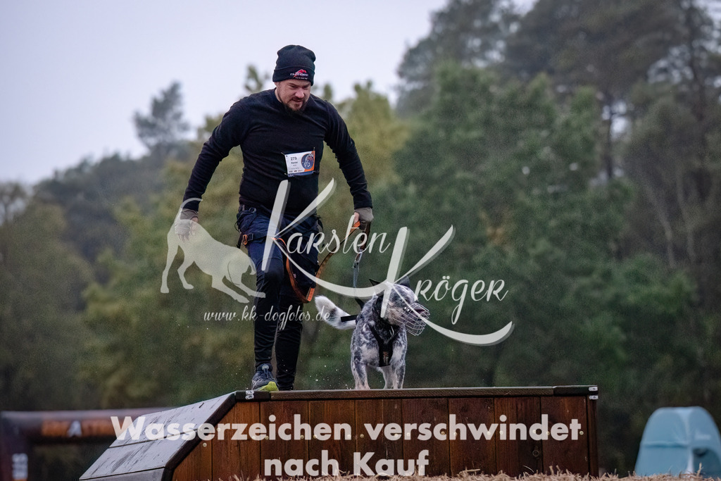 0814-_ZZ90783-Bearbeitet-Bearbeitet | kk-dogfotos