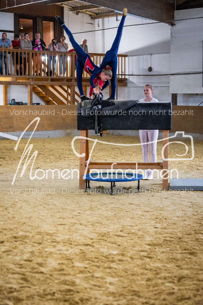 Holzpferd-085 | MomenTaufnahmen Pferdesportfotos