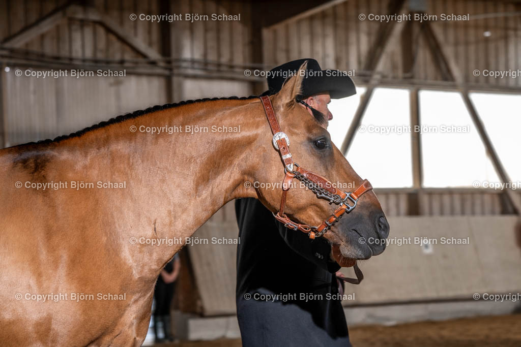 SBS02663 | BS-foto