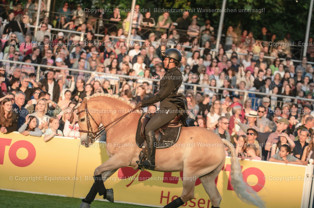 20230526_Pferdenacht_0317 | equistock
