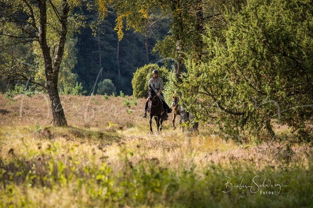 DdLH-WehlenerHeide_2025-09-20_87 | Fotografie, Veranstaltungs-Fotografie, Pferde-Fotografie, Landschafts-Fotografie, Reise-Fotografie - Realisiert mit Pictrs.com
