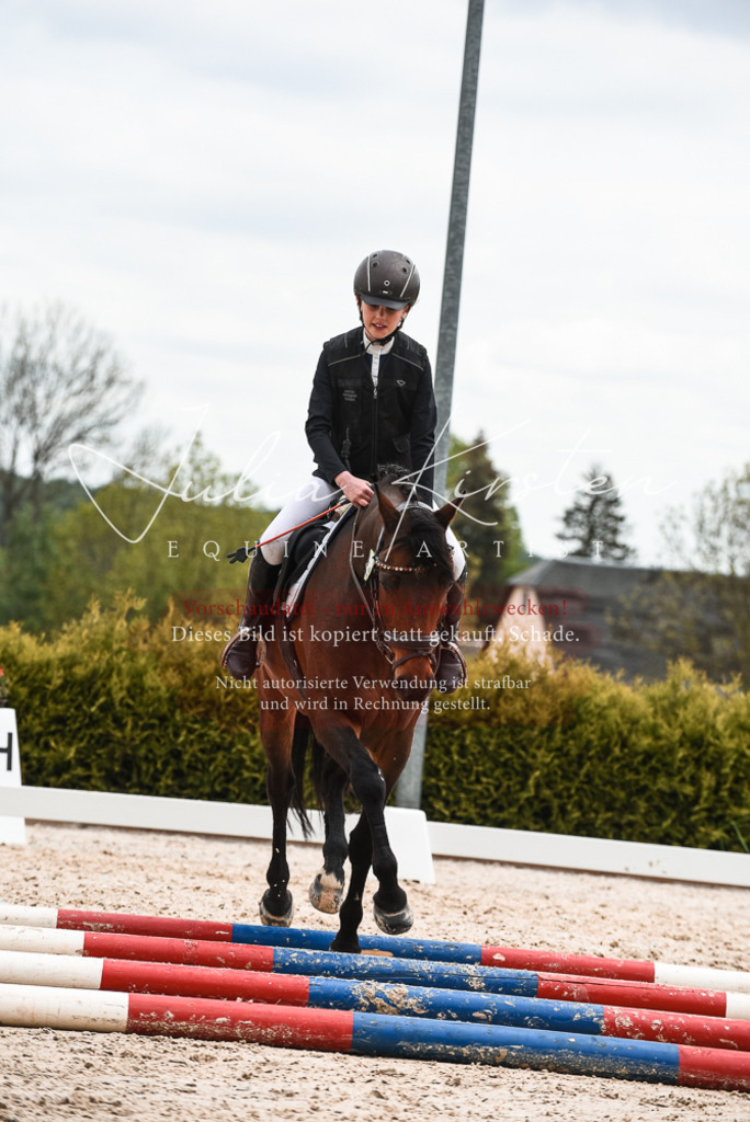 20230518_JK-Röhrsdorf-10-693 | Pferde- und Turnierfotografie in Westsachsen. Pferdeportraits, Auftragszeichnungen und intuitive Kunst.