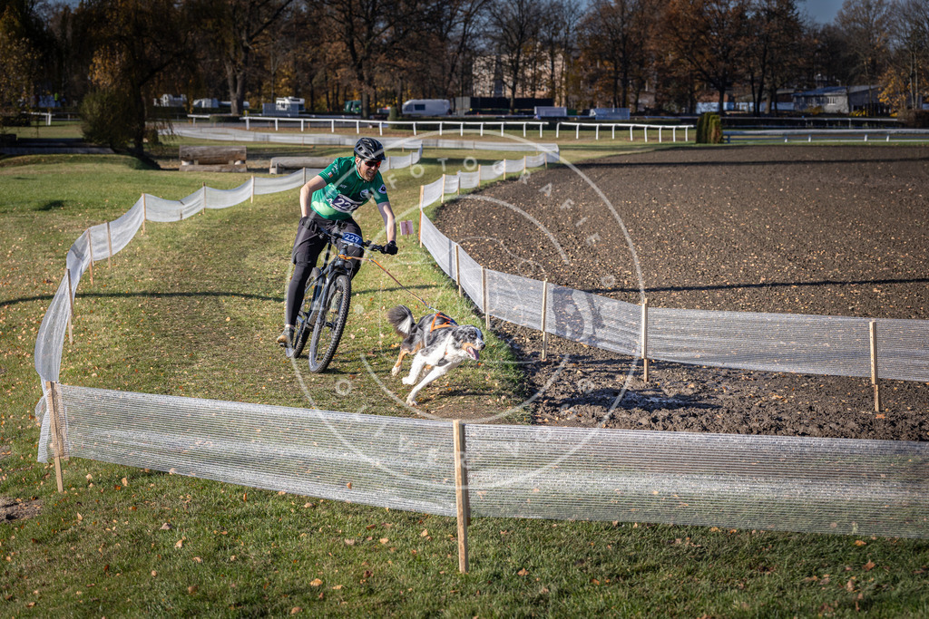 CaniXpix_DV3A3790 | Hundefotografie, Tierfotograf, Pfotenfotografie, Fotoshooting Hund, Hunde Portrait, Hundesport, Hundeportraits, Heideshooting, Hunde, Sportfotograf, Hundefotograf, Turnierhundsport, THS,  - Realisiert mit Pictrs.com