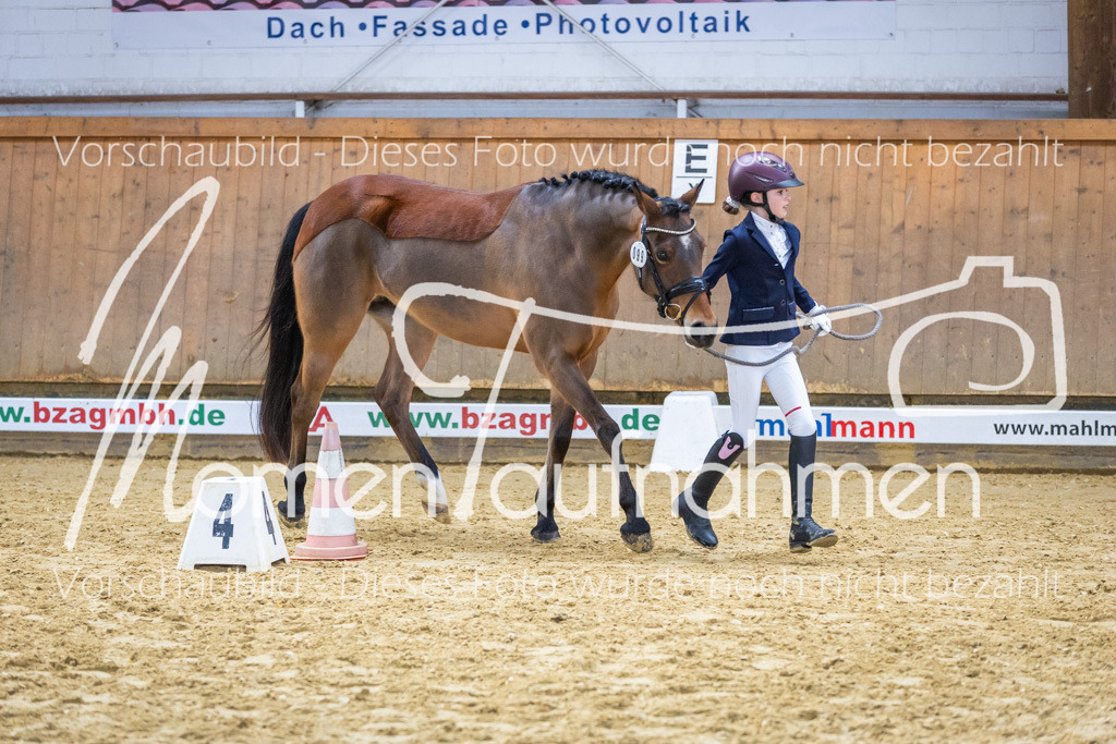 Sth-WBO25-Führ-WB-058 | MomenTaufnahmen Pferdesportfotos