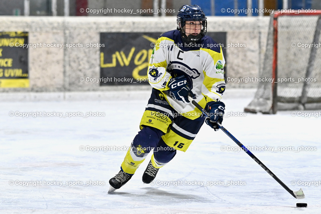 Wildcats Paternion vs. Lady Hawks  | #16 Anton Sandra WILDCATS PATERNION, Wildcats Paternion vs. Lady Hawks , Wildcats Paternion vs. Lady Hawks  am 27.01.2025 in Spittal an der Drau (Eissportzentrum Spittal), Austria, (Photo by Bernd Stefan)