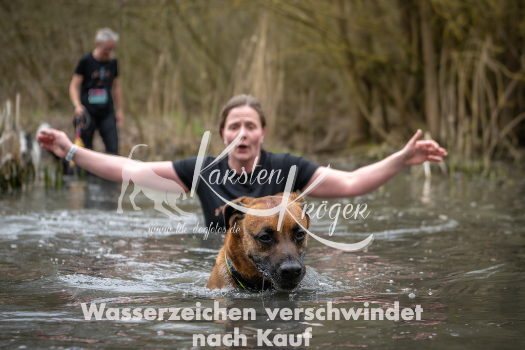 0838_ZZ92197 | kk-dogfotos