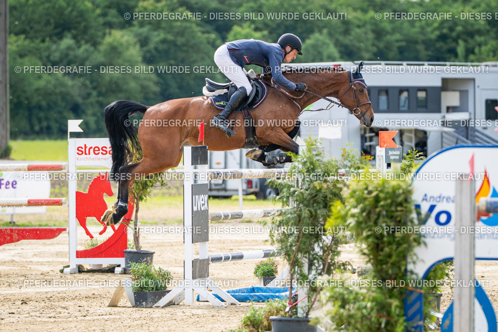 DSC07298 | Pferdegrafie