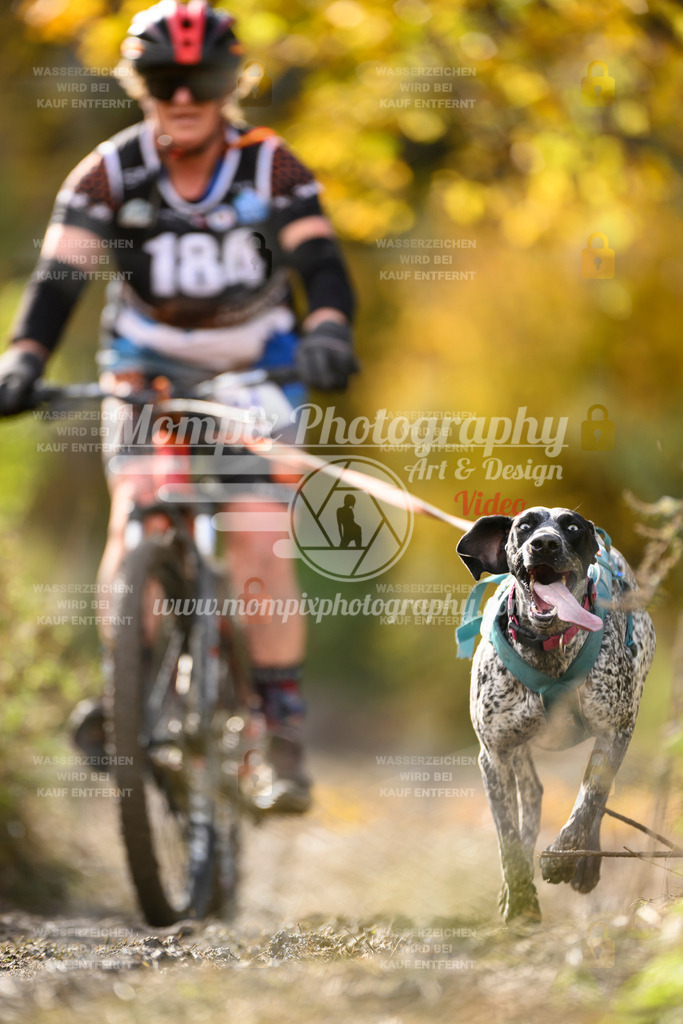 MompixPhotography_ICF_WC_2024_SA_Bike_-325 | PayLife